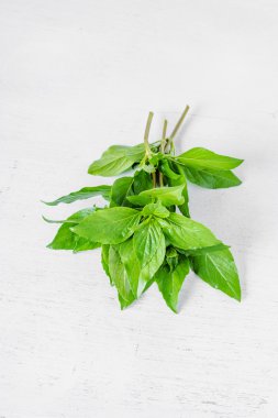 Reyhan yaprak (Ocimum basilicum Linn)