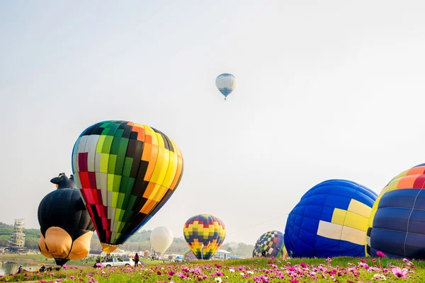 Kleurrijke hete-lucht ballonnen vliegen over de bloemen van cosmos bij zonsondergang — Stockfoto