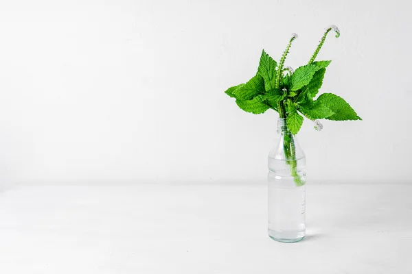 Bunga liar dalam botol kaca pada latar belakang putih . — Stok Foto