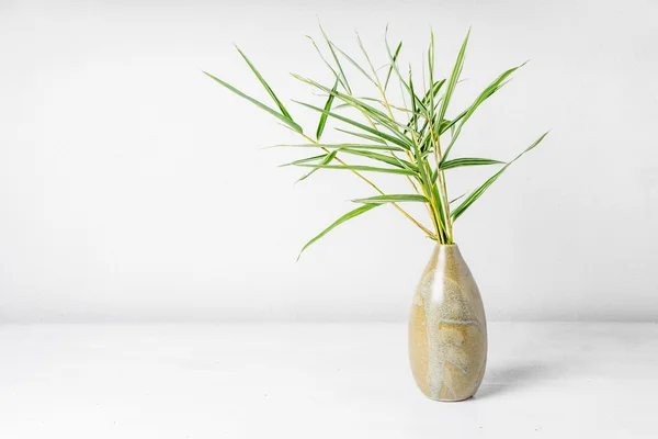 Feuille de bambou dans le vase — Photo