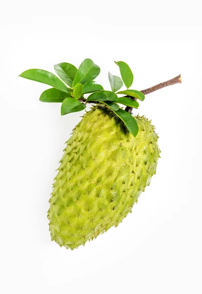 Zure sop, Graviola, Guyabano, Prickly Custardappel — Stockfoto