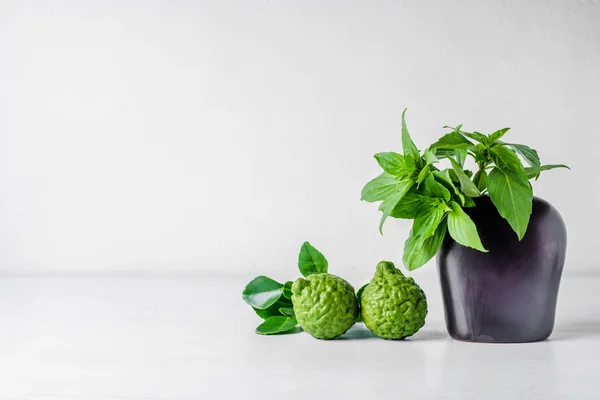 Basil Leaf manis di vas dan Bergamot — Stok Foto