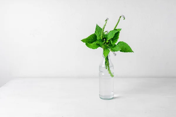 Dzikie kwiaty w szklanej butelce na białym tle. — Zdjęcie stockowe