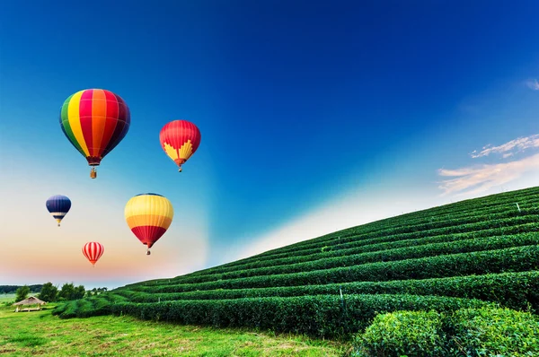 Bunte Heißluftballons fliegen bei Sonnenuntergang über Teeplantagenlandschaft. — Stockfoto