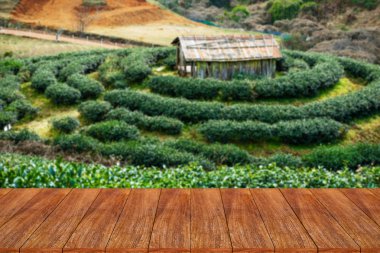 Ahşap masa boş ve çay plantasyon arka plan bulanıklık - ebilmek kullanılmış