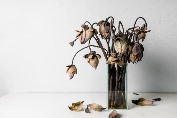 Zwiędły Lotos kwiaty w wazon ze szkła na stole — Zdjęcie stockowe
