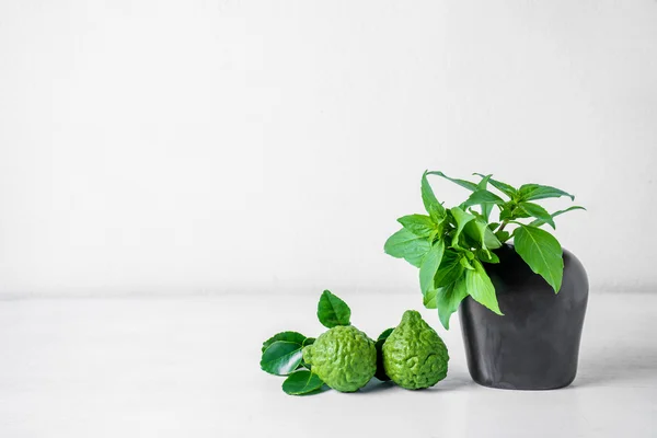 Basil Leaf manis di vas dan Bergamot — Stok Foto