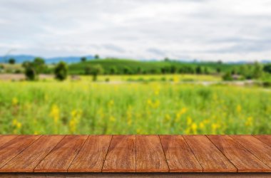 Ahşap masa üstü üzerinde sunhemp çiçek arka plan bulanıklık 