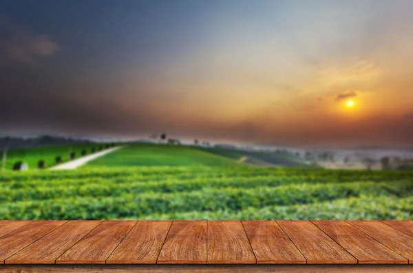 Empty wooden table and blur tea plantation background — Stock Photo, Image