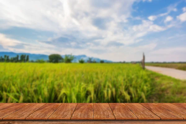 Empty wooden table and blur rice field background — Stock Photo, Image