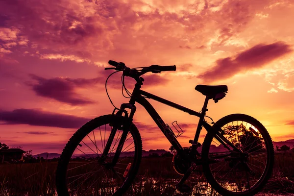 Beautiful close up scene of bicycle at sunset — Stock Photo, Image