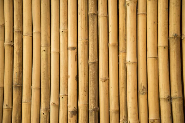 Bambu vägg textur bakgrund på nära håll — Stockfoto