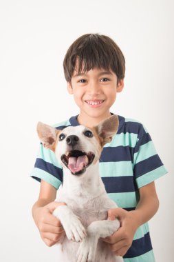 Jack russel küçük boy onun arkadaş köpekle oynamayı