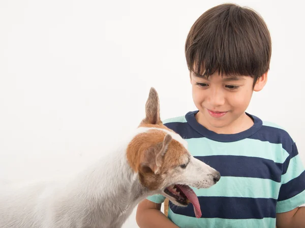 Little boy playing with his friend dog jack russel — Stock Photo, Image