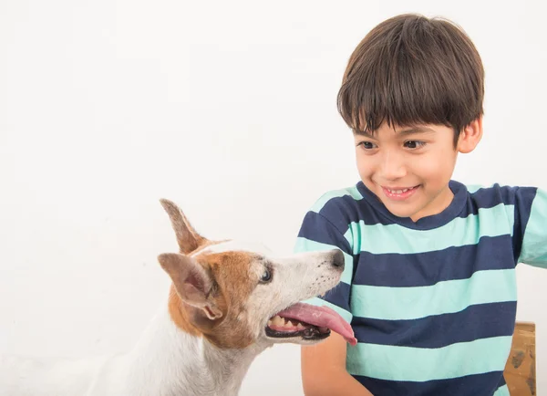 Little boy playing with his friend dog jack russel — Stock Photo, Image