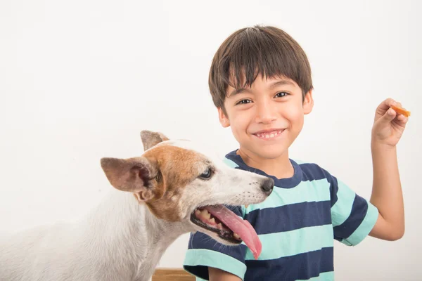 Petit garçon jouant avec son ami chien Jack Russel — Photo