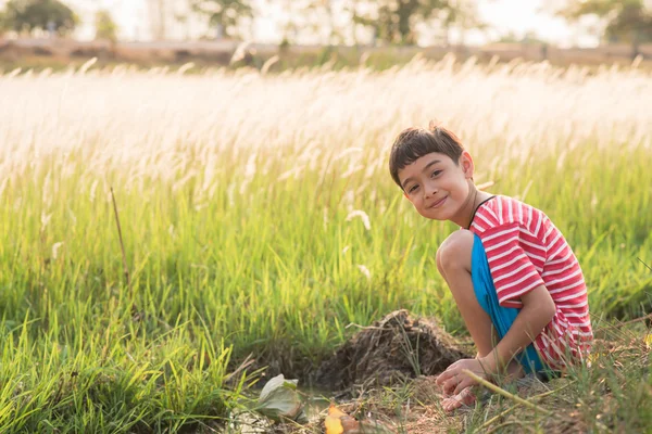 Malý chlapec sedí s zlatá tráva pole čas západu slunce — Stock fotografie