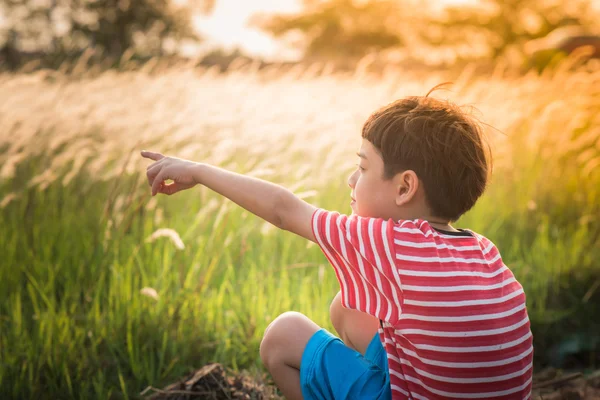 Liten pojke sitter med gyllene gräs fältet solnedgång — Stockfoto