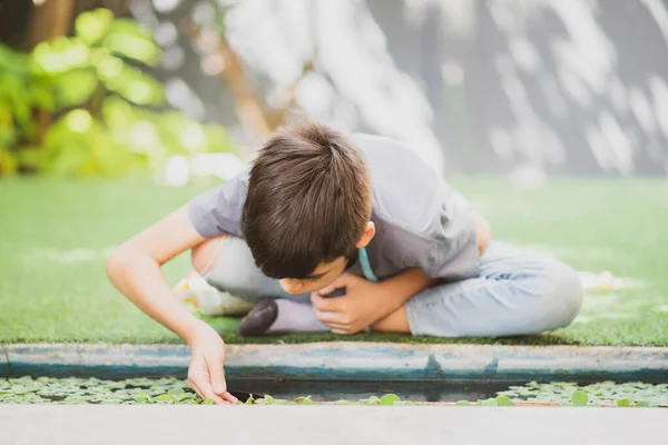 Sibling Boys Catching Baby Fish Backyard — Stock Photo, Image