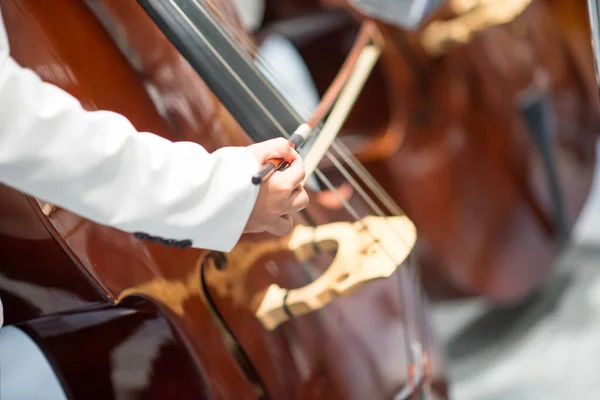 Kontrabassist Orchesterspiel — Stockfoto