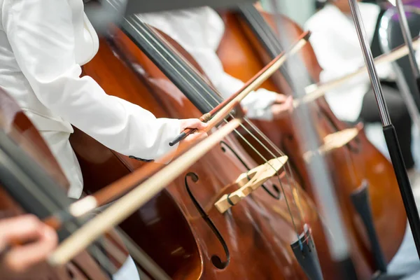 Double Bass Player Orchestra Performance — Stock Photo, Image