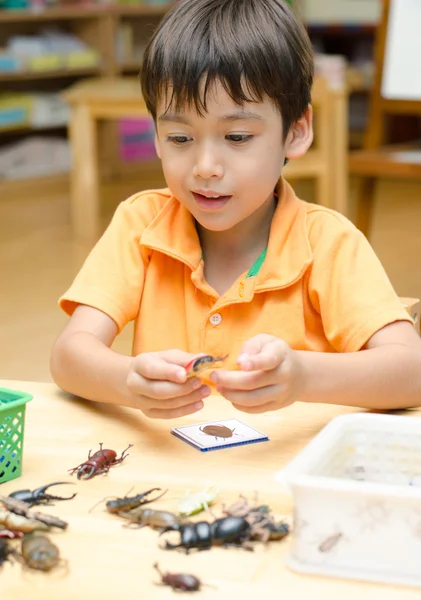 Küçük çocuk öğrenme sınıf içinde böcek hakkında — Stok fotoğraf