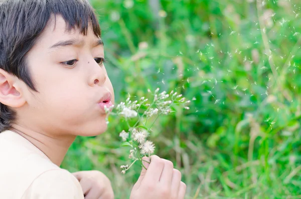 Little boy blow flower floating to the air in the garden — Stock Photo, Image