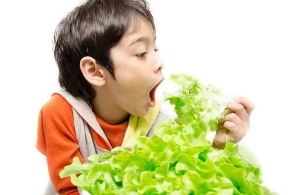 Little boy eating fresh green organic vegetable on white backgro — Stock Photo, Image