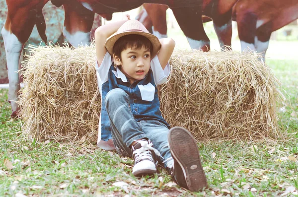 Pequeño vaquero joven tendido en el heno — Foto de Stock