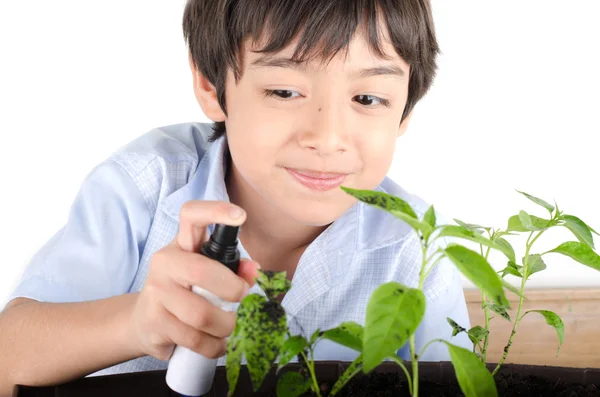 Kleiner Junge arbeitet mit Kastration für Pflanzengärten — Stockfoto