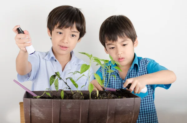 Weinig sabbelen jongen werken met tuinieren samen — Stockfoto