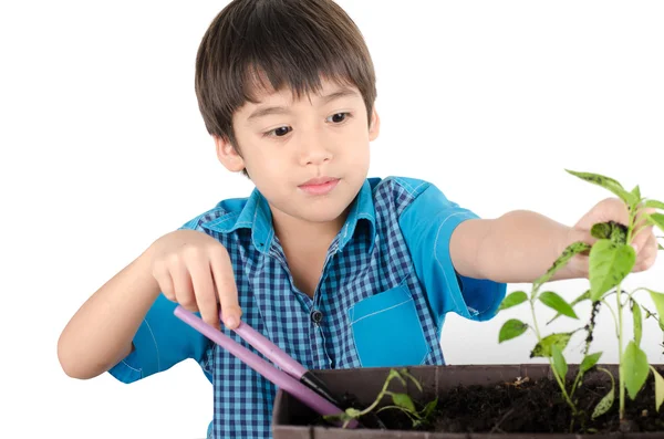 Kleiner Junge bei der Gartenarbeit — Stockfoto