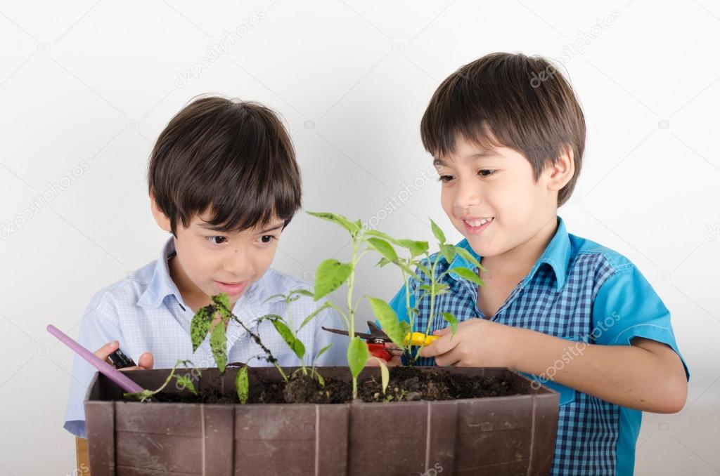Little sibbling boy working with gardening together