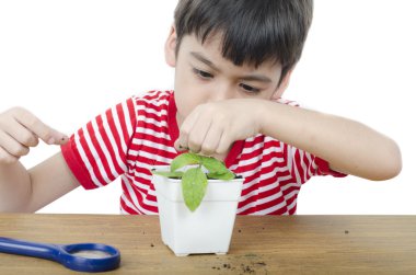 Küçük çocuk beyaz adam üzerinde yeni bitki izlerken Büyüteç'i kullanma