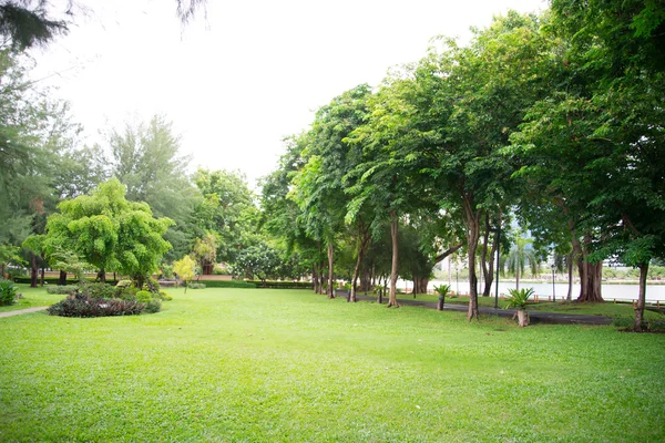 Caminhada no parque — Fotografia de Stock