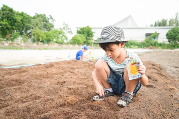 Malý chlapec pracoval, výsadba na farmě venkovní — Stock fotografie