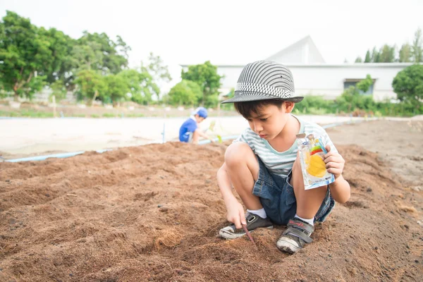 Anak kecil yang bekerja menanam di luar rumah — Stok Foto