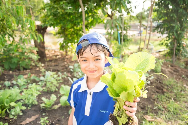 男の子の屋外のファームの植栽作業 — ストック写真