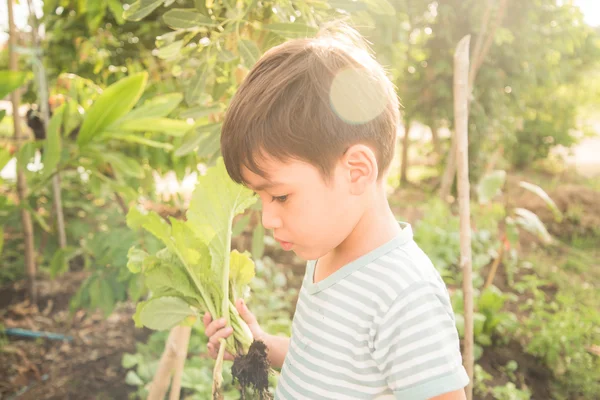 Petit garçon travaillant la plantation à la ferme en plein air — Photo