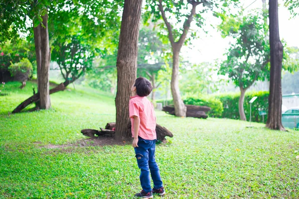 Menino brincando no parque — Fotografia de Stock