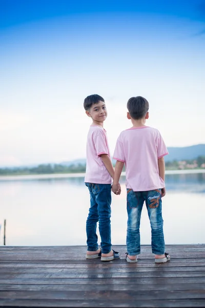 Pequeño niño hermano de pie junto a la laguna —  Fotos de Stock