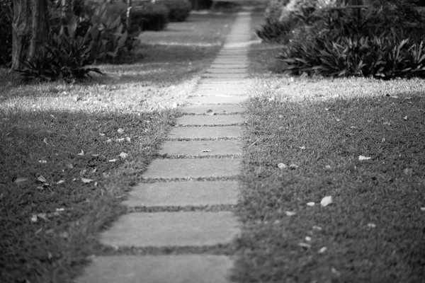 Spazierweg im Park — Stockfoto