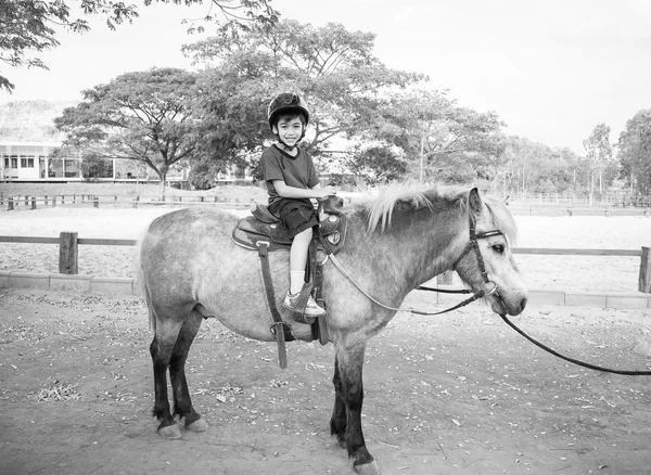 Little boy ridning häst — Stockfoto