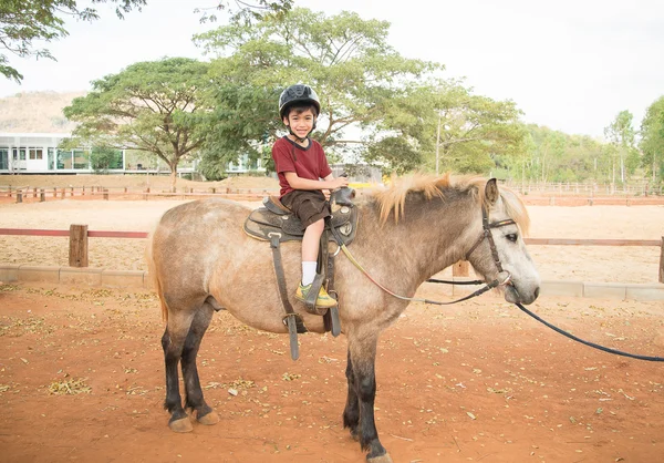 Little boy ridning häst — Stockfoto