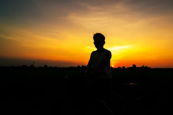 骑自行车的人在日落时的剪影 — 图库照片