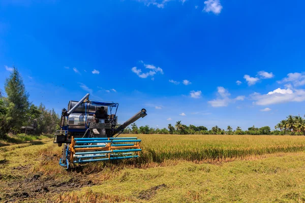 Maaimachine in rijst veld combineren — Stockfoto