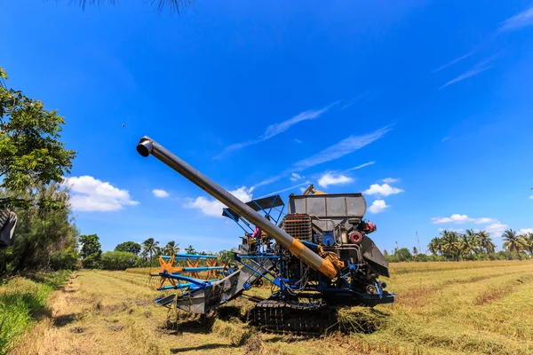 Maaimachine in rijst veld combineren — Stockfoto