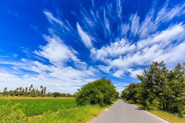 Asfaltweg in landelijk met mooie hemel — Stockfoto