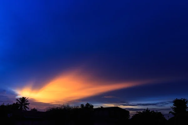 Albero di cocco sullo sfondo del tramonto . — Foto Stock