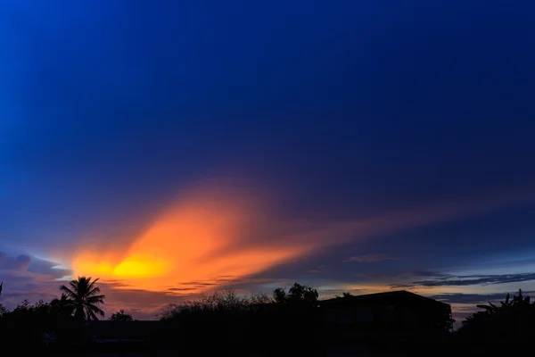 Kokosnussbaum im Hintergrund des Sonnenuntergangs. — Stockfoto